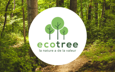 Partenariat avec EcoTree